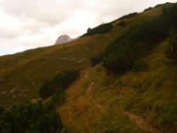 2013-09-08_6Falkenh-Steinfalk (070).JPG